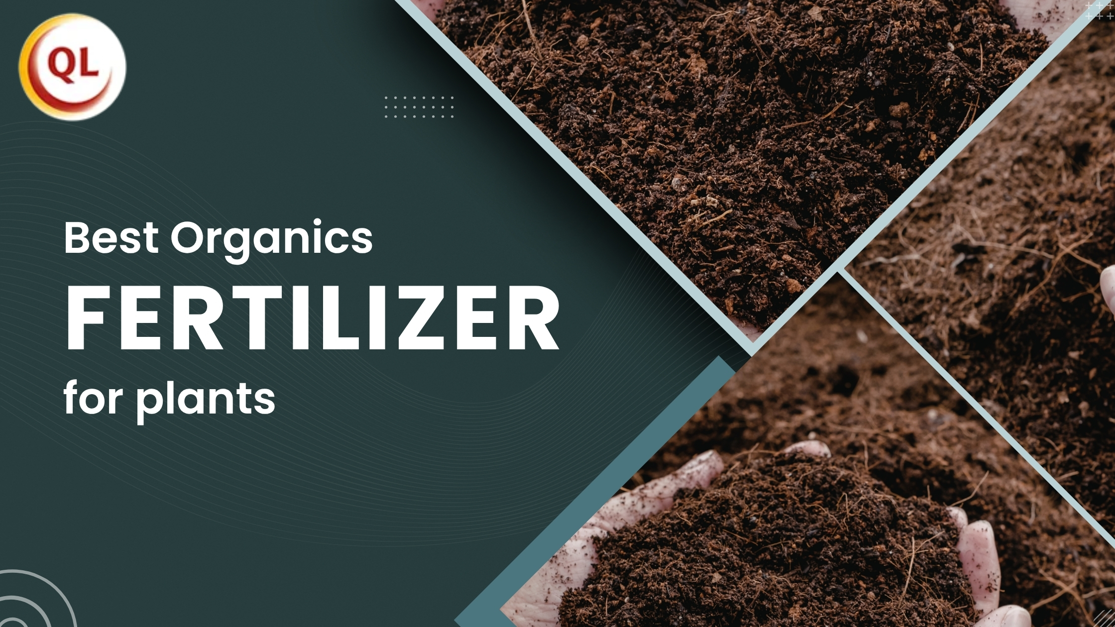 Wholesale Biofertilizer Supplier | Organic Biofertilizer